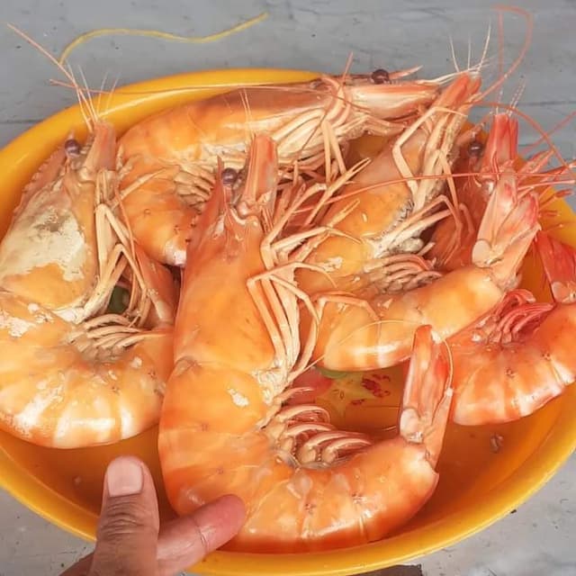 Seafood